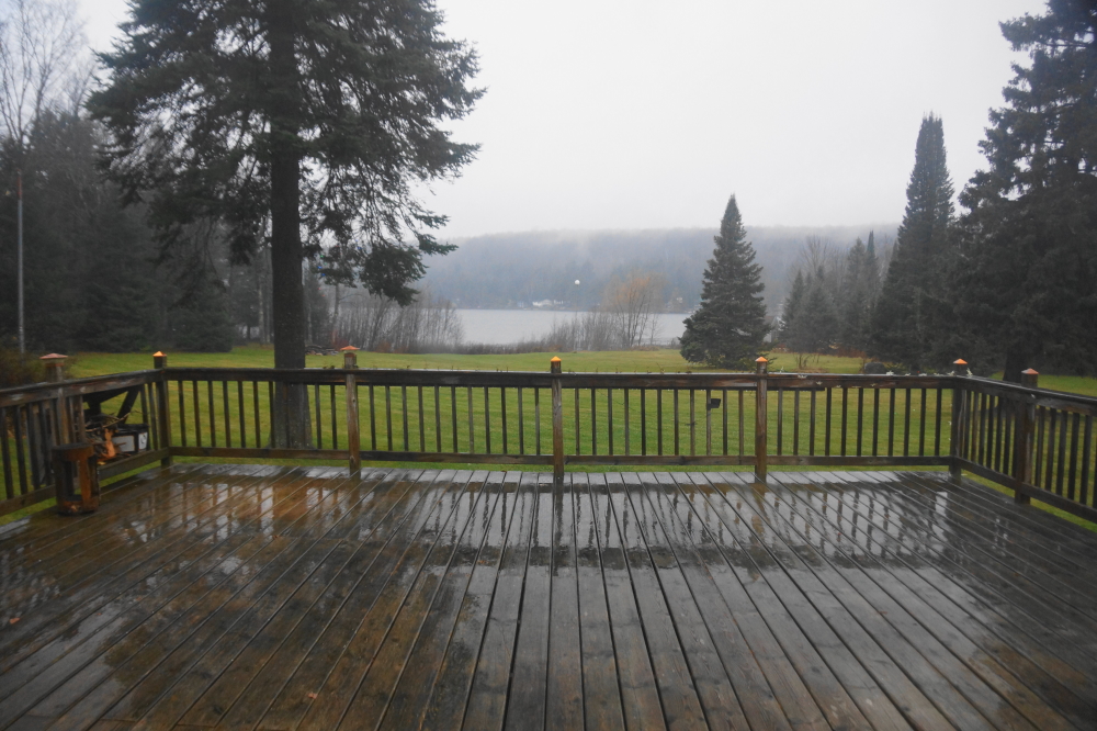 Before Winter got the upper hand, it rained. It was not a gentle shower. The multi inch event held more than a hint of seasonal malevolence as it pounded the bar's metal roof, soaked the lawn, and embiggened the lake's depth.