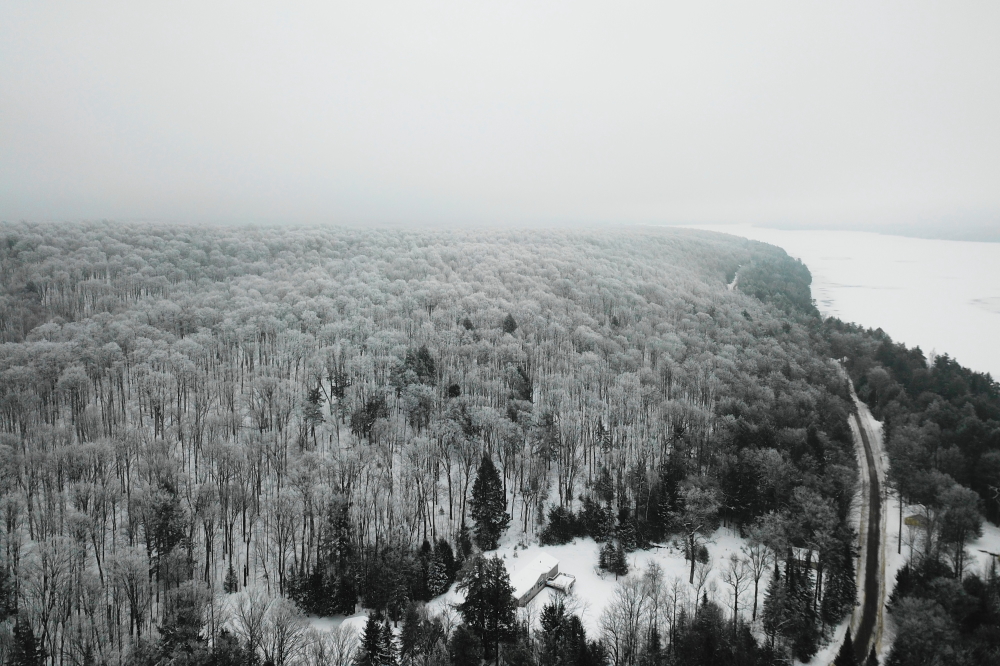 Some of the fog might have moved on. Most of it flocked the trees, weeds, piers, and everything else in the northwoods.