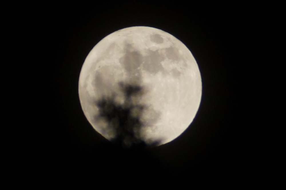 The full moon combined with the snow cover turned night into a reasonable facsimile of day. It was bright enough to golf the front 9 at Nicolet, but we didn't. Partly because we didn't have the time, but mostly because we're not insane.