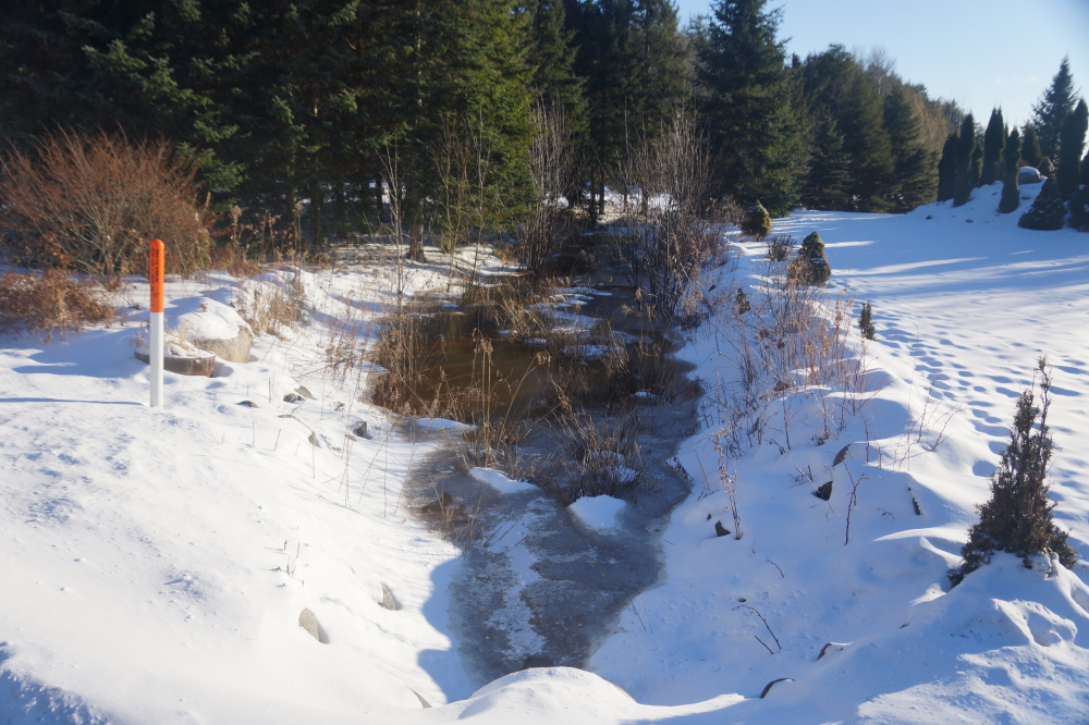 The rain combined with the brief thaw and then cold has promoted the creeks and streams going into the lake to the rank of small river. Currently, the snow totals are down, but the lake level is going up.