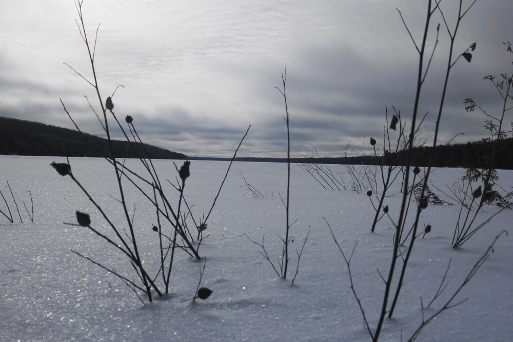 Deep Winter returned early last week. Then it thawed. Then it sub-zered. All the while, there was much shivering.