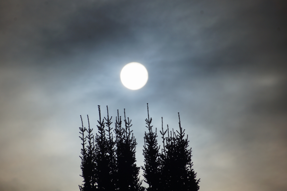 The sun eventually punched through the icy overcast and started the thaw cycle again.