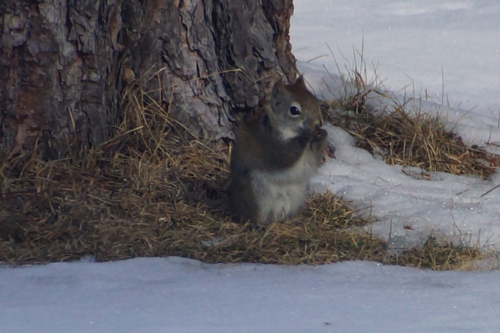 It's been a long Winter. Many of us prayed that the forecast for warmer weather would hold.