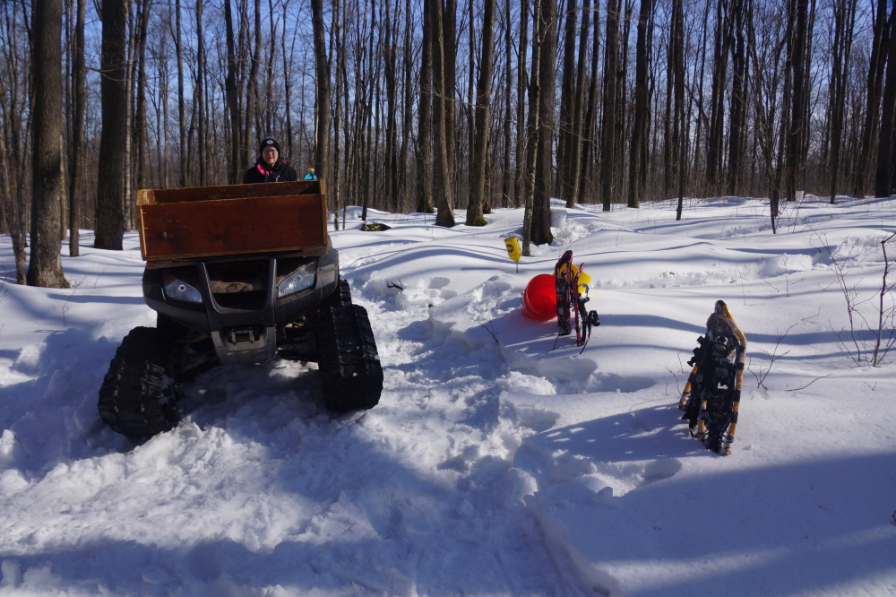 There's still much snow in the woods, but there was some question whether snowshoes were really necessary.