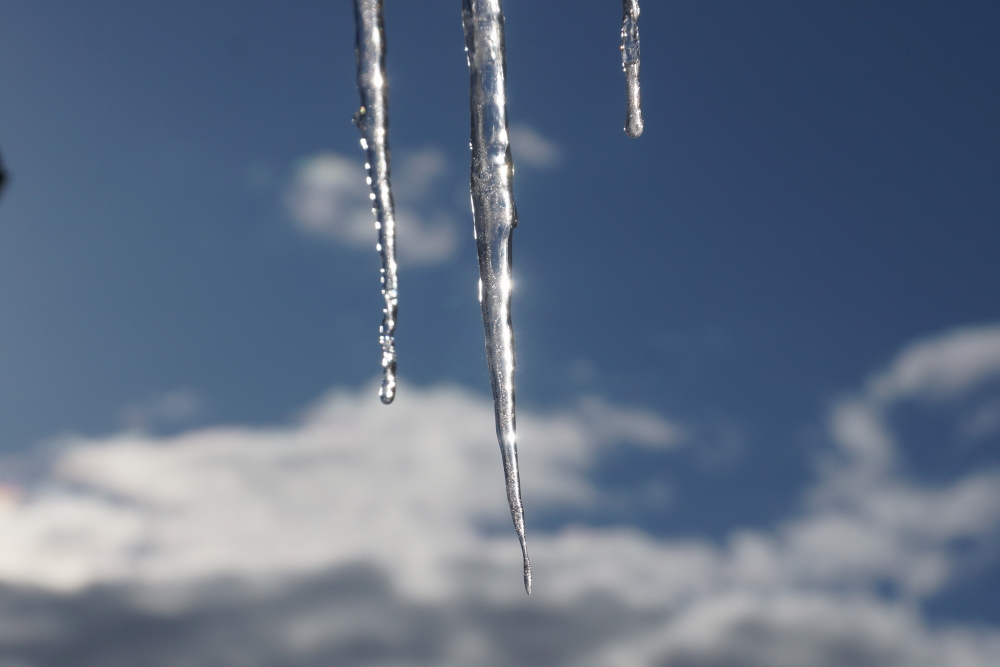 Warmer sun has produced an impressive crop of icicles on just about every overhang.