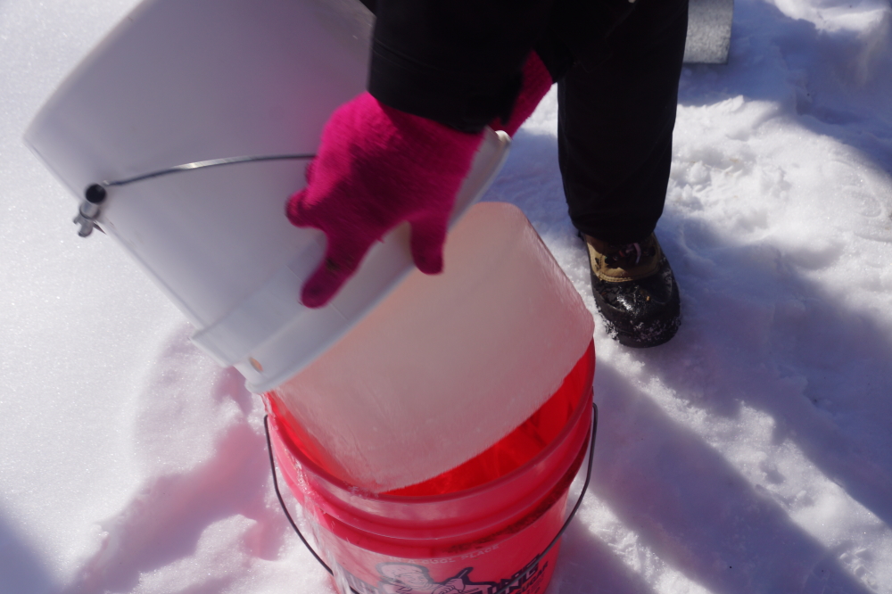 Pucks of sap ice tend to not pour very well, making sap collection a bit less joyous.