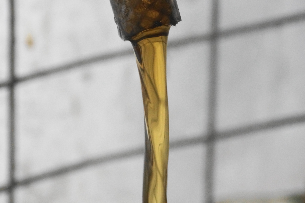 So far this year., the syrup is very pretty.