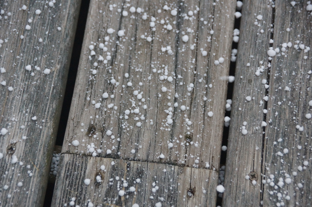It started on Friday. Sleet ranging from BB to pea sized bounced off roofs, roads, and noggins. It didn't collect much and it hurt even less, but it did not bode well for the weekend.