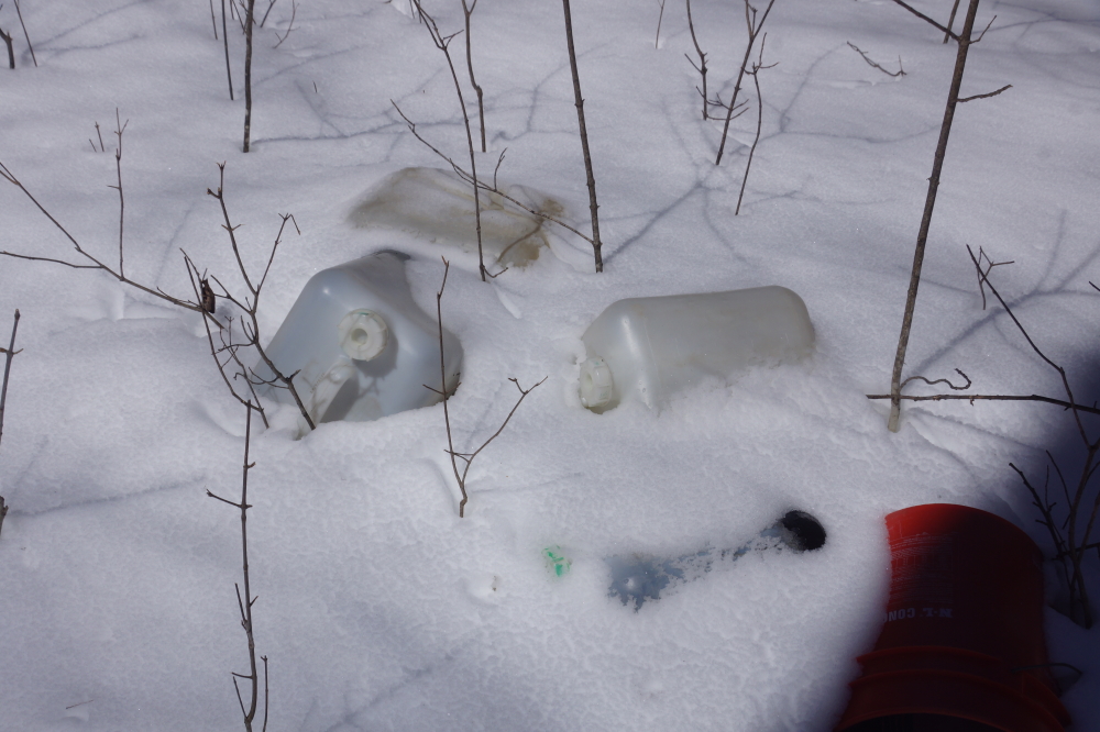 As the snow melted, the mystery of the missing sap jugs was solved.