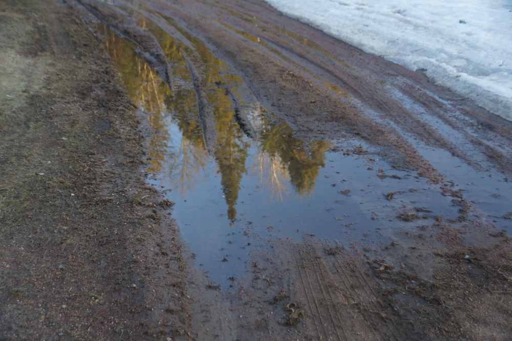 The snow and ice that had covered the bar's driveway was gone and replaced with a softer, more reflective surface.