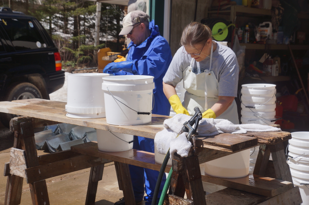 The washing of the tapping buckets occurred soon after. This year, we had a full crew, several washing towels, 2 hoses,  and 5 gallons of bleach.