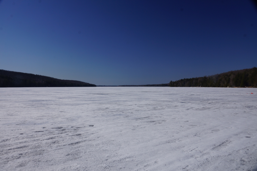We're not sure if we will be able to get another ice check this season. The ice on Lake Lucerne should be thick enough, but the edges are getting thin. Getting to the ice could involve a brief and extremely refreshing swim. No thanks. If another measurement is not possible, we'll get a feel for the impending ice-out by monitoring the progress of other lakes and the freeing of the islands on Lucerne.<br><br>-Nemo: Occasional bartender and bad influence