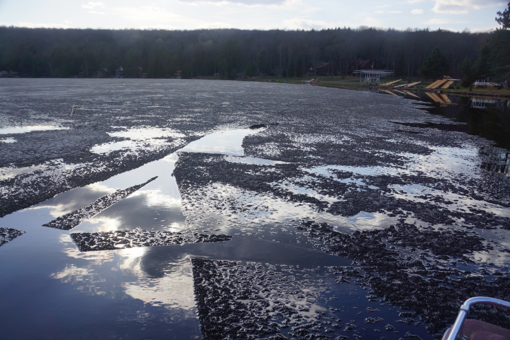 The edge of the ice kept on breaking up and retreating all weekend.