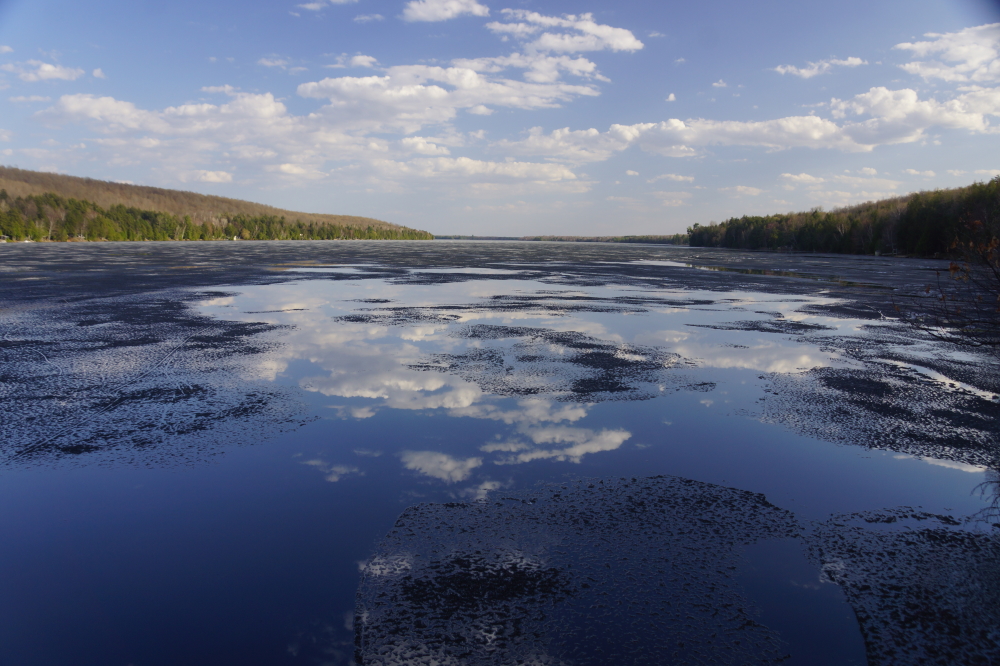 One element of last week started out as all the other weeks this year did. The lake was frozen. Other elements were different. Very different. It was warm, sunny, and greening up. The ice would not see another weekend.