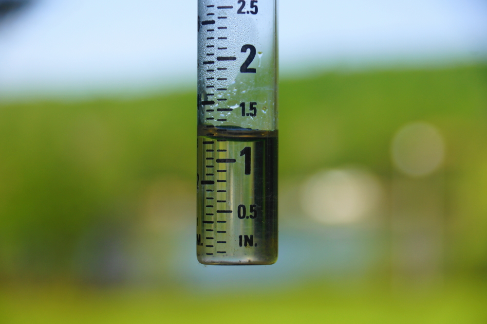And there was rain. Mostly at night and well over an inch. The lake is continuing to go up.