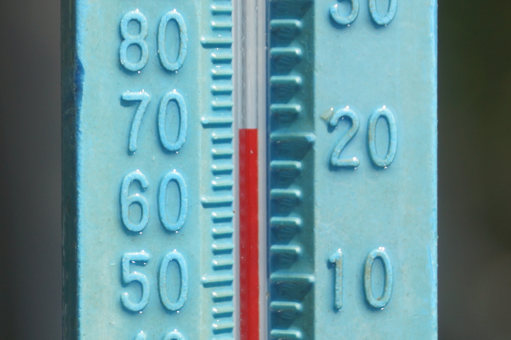 The wind came from the South during most of last week resulting in warmer surface water being pushed North. By Saturday the lake temperature on the North end was touching 70°F.