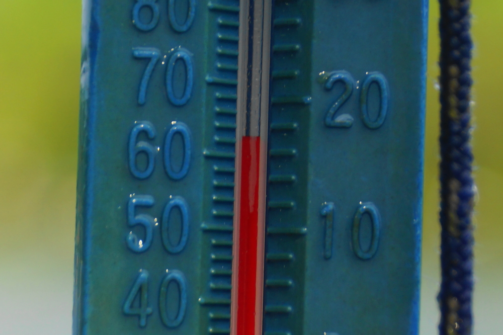 The wind shifted on Saturday night. All the warm water pushed South and a great welling up of late April water flowed North. In less than 24 hours, Lake Lucerne's temperature dropped by 10°F.