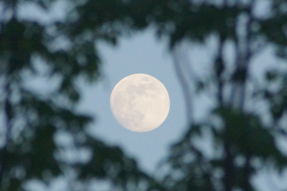The nights were also warm and well lit by an almost full moon. Didn't hear or see any skiers though. They might have been too tired from all the day skiing. That, or "Skull Shots".