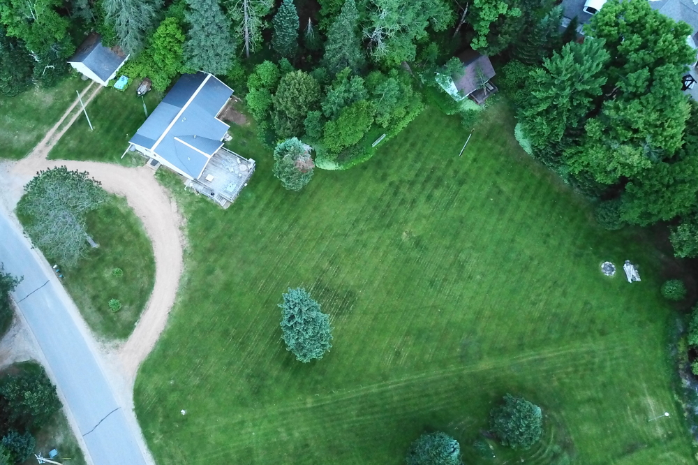 The crop of lawn has mowers going 2 or 3 times a week. On quiet nights, if you listen closely, you can hear the grass growing.