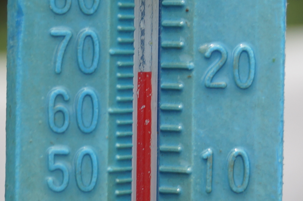 The lake temperature hovered around 67°F all week. Cool but not freezing. Not very freezing, anyway.