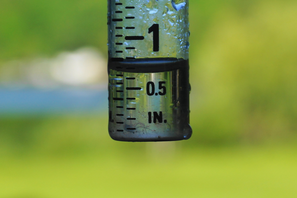 Almost 3/4 of an inch fell overnight, leaving the day mostly dry and extremely green. More rain was predicted for the weekend. The gauge was emptied and put back with the hope of getting another 1/4 of an inch to assure the record lake level holds for another week.