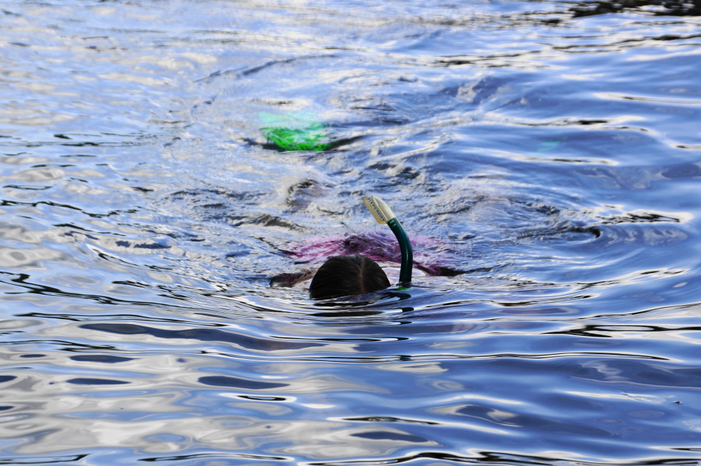 Or under the lake. The water temperature hit 80°F and the bluegills have left the spawning beds. There's a lot less grumpiness on the bottom when diving for golf balls.