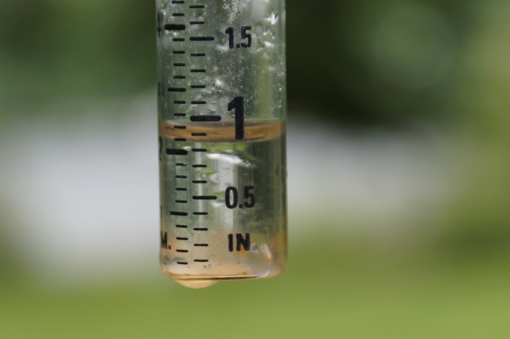 The rain came at the end of the week. All of Friday and much of Saturday were spent under umbrellas. The lake level is holding at 23 inches above the nail.