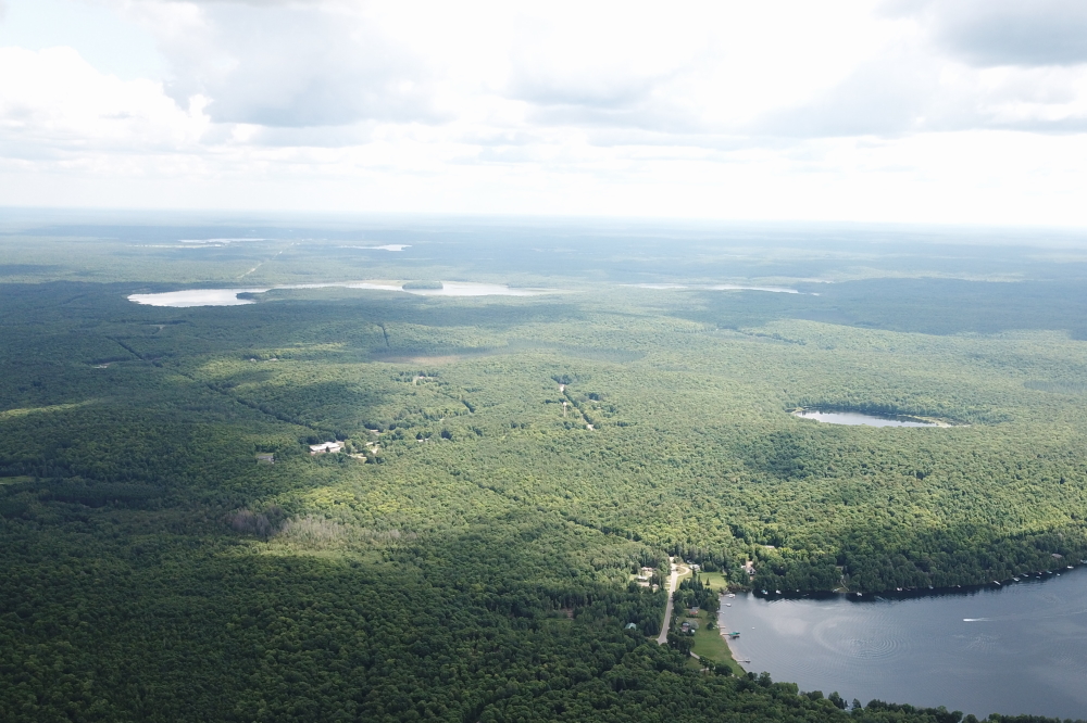 Just over the hill to the east of Lake Lucerne and behind Devils Lake, Lake Wabikon is looking a little weedy.