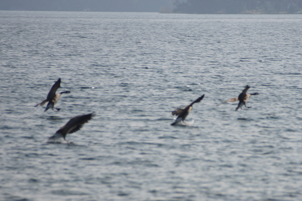 Lake Lucerne