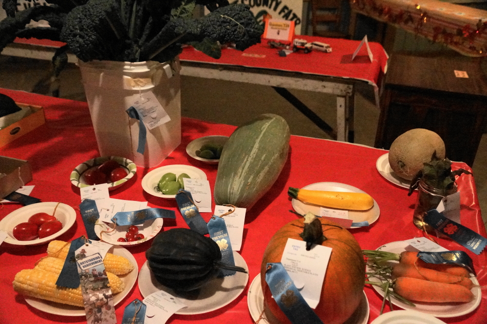 Inside the large buildings at the fair were impressive displays of 4H induced "vegetability".