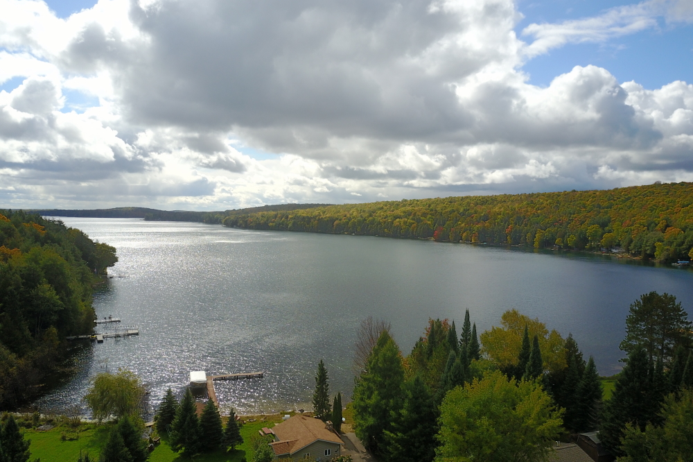 With the arrival of real Fall, our ruminations have begun to focus on final mowing, propane, firewood, and carving pumpkins (Pumpkin Carving is scheduled at the bar on Saturday, October 20th, BYOP).  There are still quite a few boats and lifts in the lake. This could be a function of that pontoon crane guy making late season lift removal less numbingly cold or it could be that many want to have images of that last ski run adorned with peak color trees in the background.<br><br><br>-Nemo's not looking forward to snow.