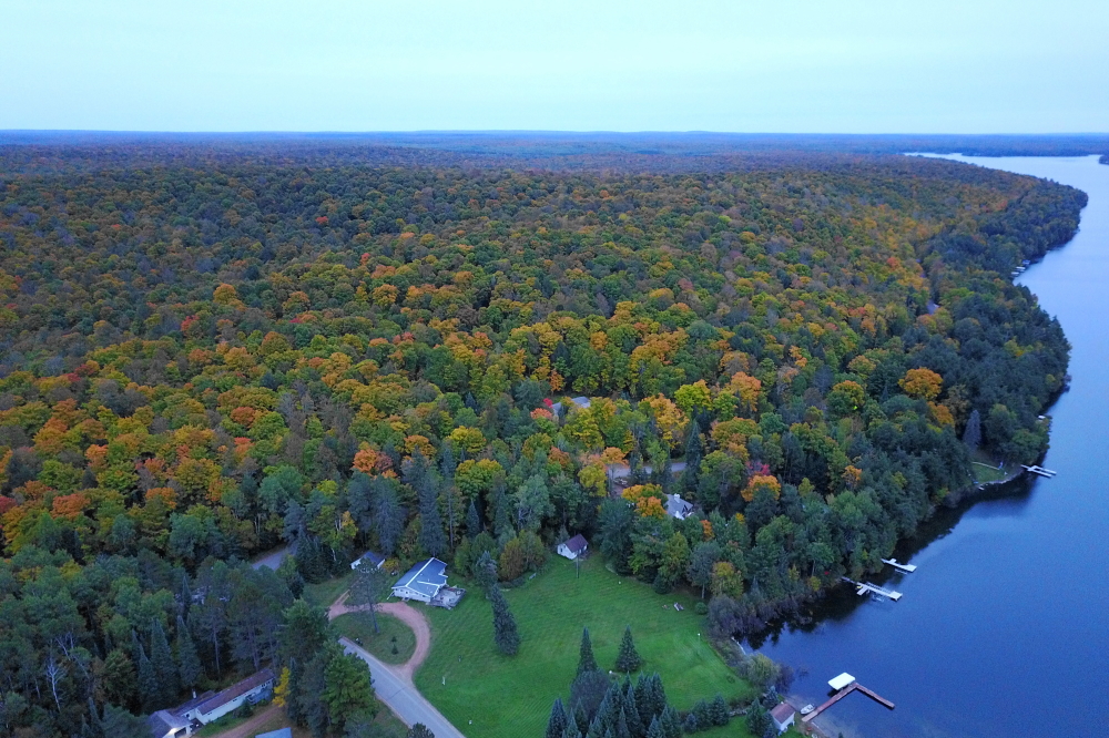 The forest is at about 50% peak. We expect 100% sometime next week.