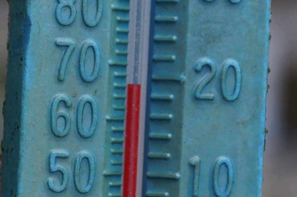 The lake temperature is dropping. It was at 66°F by mid-week and 63°F by Sunday. Swims are shorter and involve more tears.