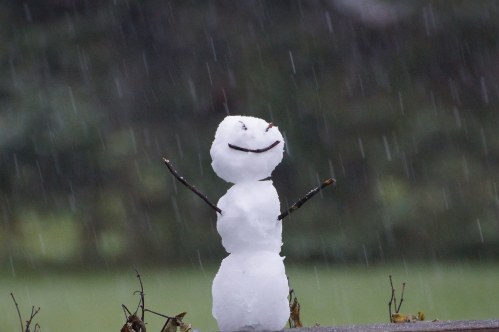 On Sunday, the rain turned to snow. It's a little early for the white stuff.  We were assured by several that it would not stick.