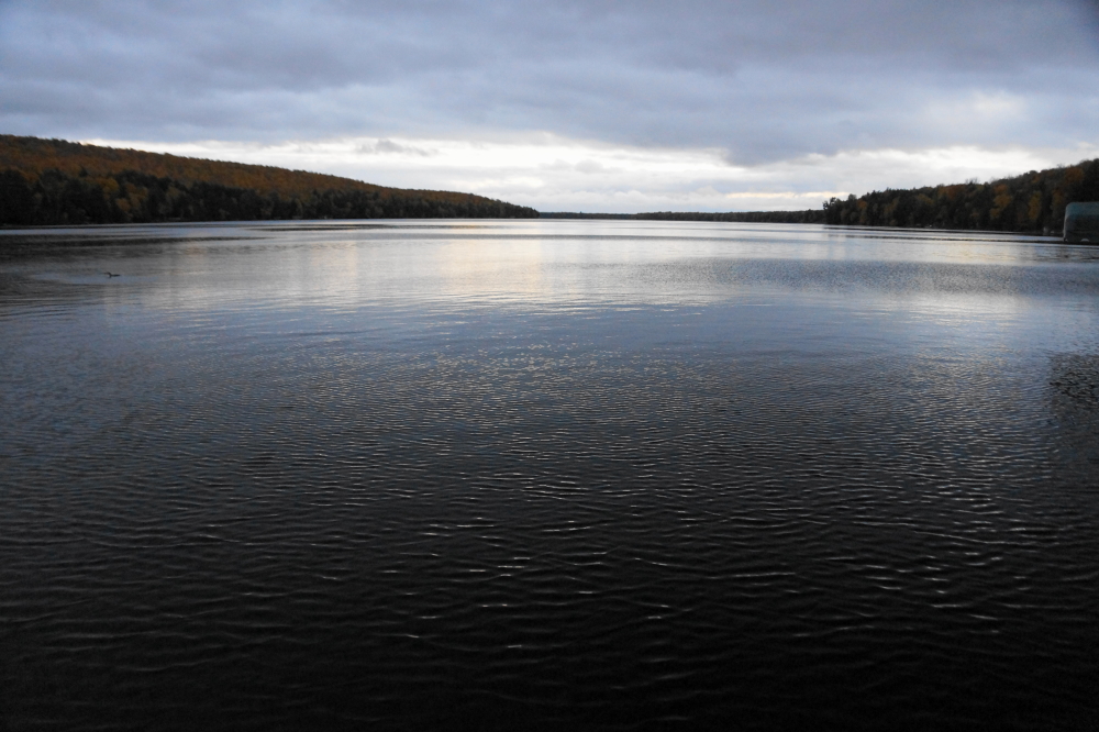 It was cloudy last week. There were reports that the rain stopped, clouds parted, and fog lifted for about 37 minutes on Saturday afternoon, but, for the most part, sunshine eluded the northwoods all week.