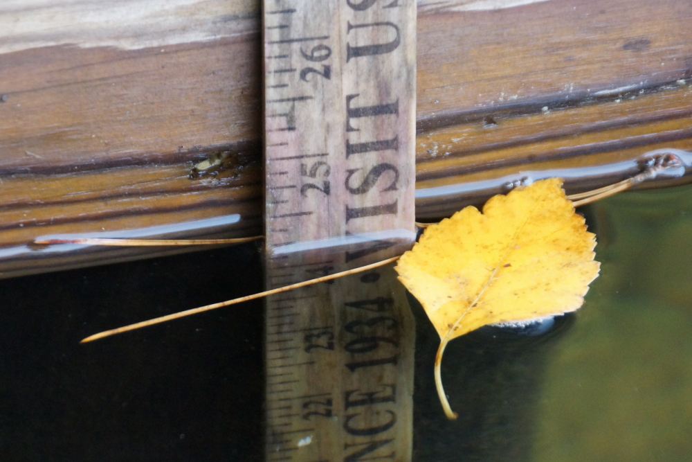 The lake level had fallen to 18 inches above the nail at the start of September. The past several wet weeks have pushed it back up. Only two more inches and we'll tie the record levels last seen back in early July.