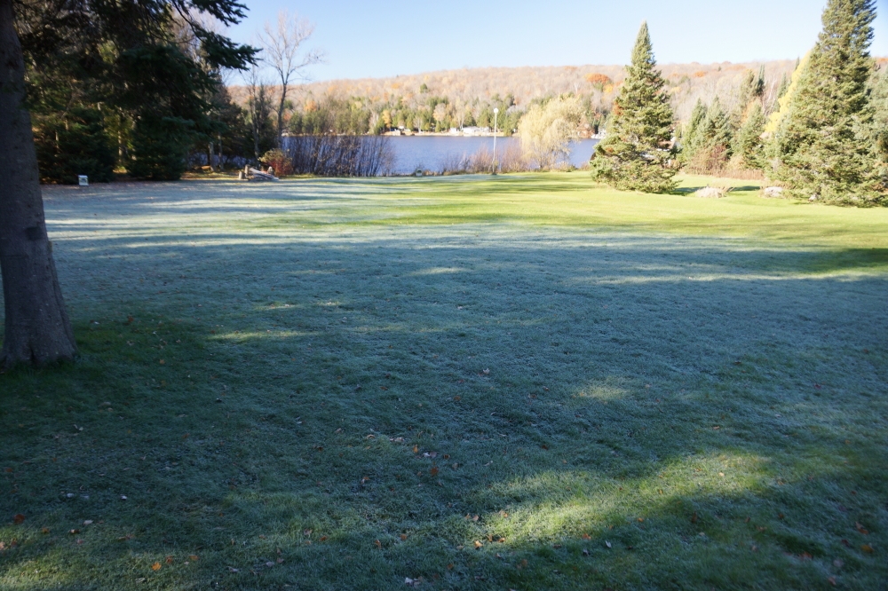On the days that we did not see rain, the lows that frosted the ground by sunrise pushed lawn mowing windows late into the afternoon.