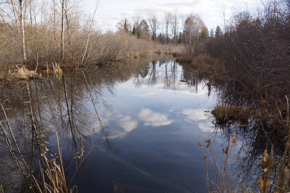 Other water was un-bumpered and ready to add a few liquid-y strokes to poor shots.