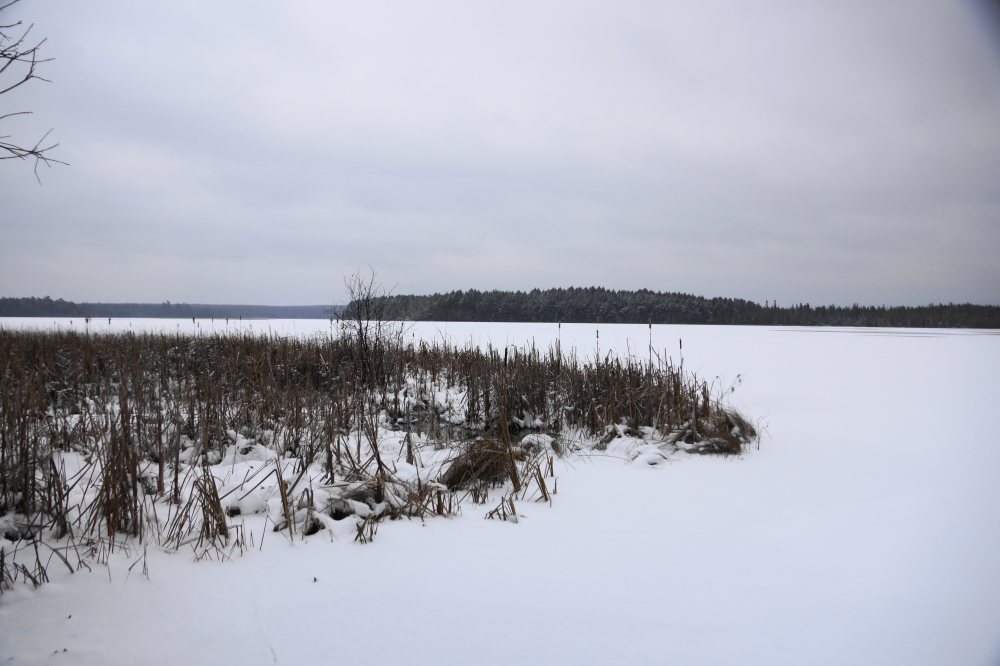 On Sunday, the cold that came as a bonus gift with the snow froze Lake Wabikon.  During most years, this unseasonable icing would go out with the first sunny or windy day, but the cold forecast points to sleds and ice fishermen dotting this lake well before the turkey reaches 165°F.