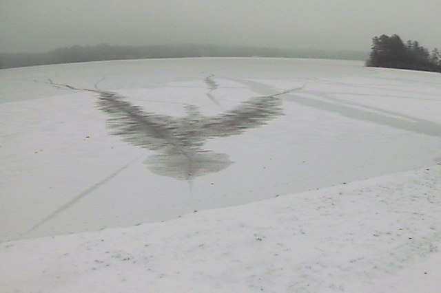 Early in the week, just before the clouds passed, the image of a large bird appeared on the ice in front of Water's Edge. The image remained for several days until a dusting of snow erased it.