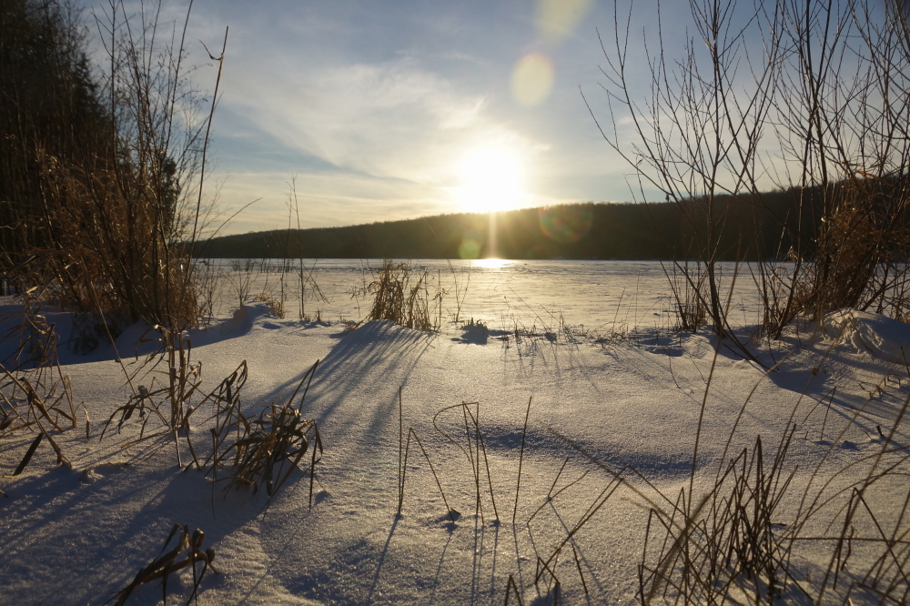 During many days last week, temperatures went above freezing for several hours. Snow in the open is essentially gone, but there are still significant drifts, up to 6 inches, on the shore and in the woods.