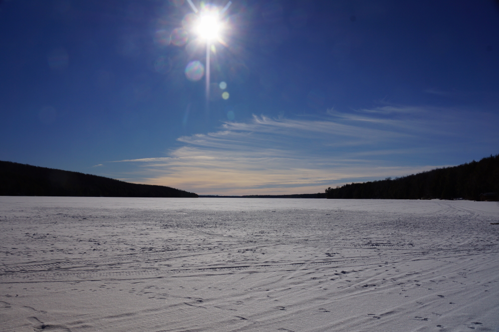 Last week started off cold. Then the temperature fell. Deep Winter often dovetails with the Annual Lake Lucerne Bottle Rocket War. This year the two coincided almost perfectly . Fort construction was harsh. The South's fort desertion rate rose to 34%.