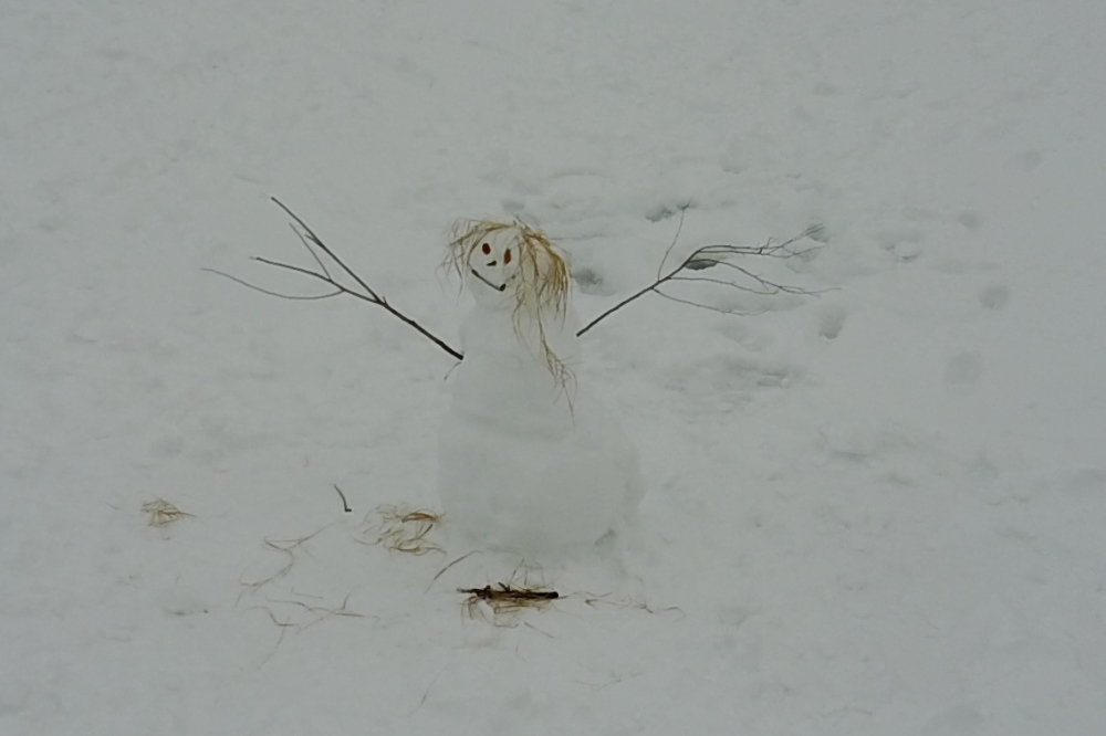 Other lake construction took on a more traditional snow form. Love the hair. 