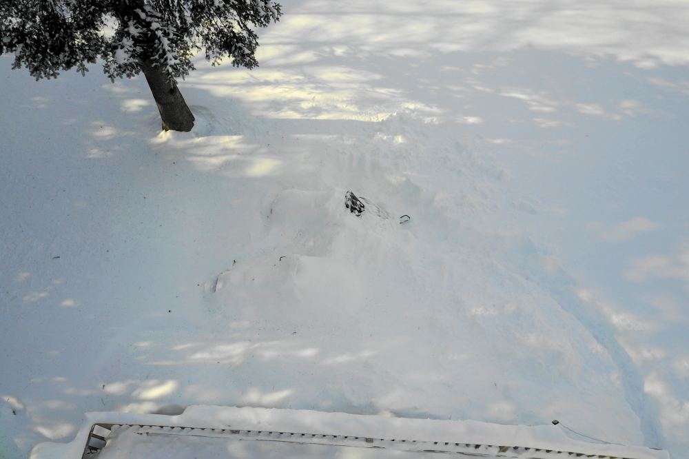 It took a bit of digging, but the two mounds off the bar's deck turned out to be snowmobiles.