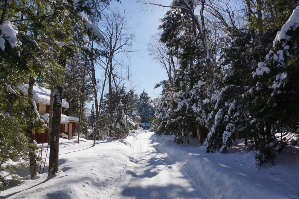 The condition of Knott Lane could be described as snowy and narrow.