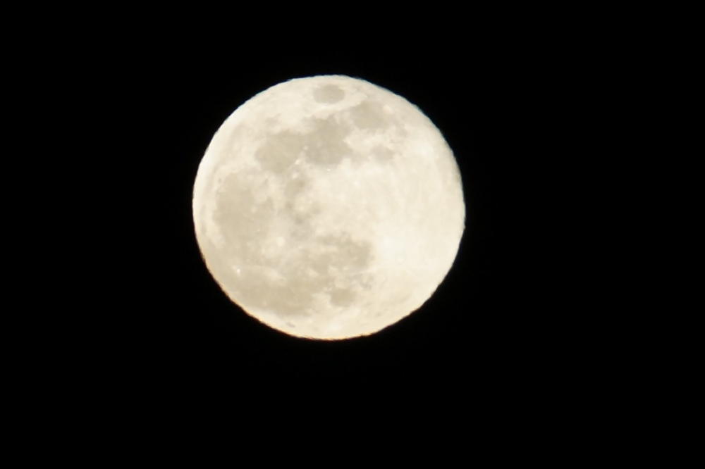 Until clouds, snow, and the lunar progression blotted it out, nights were bright thanks to a full super-moon.