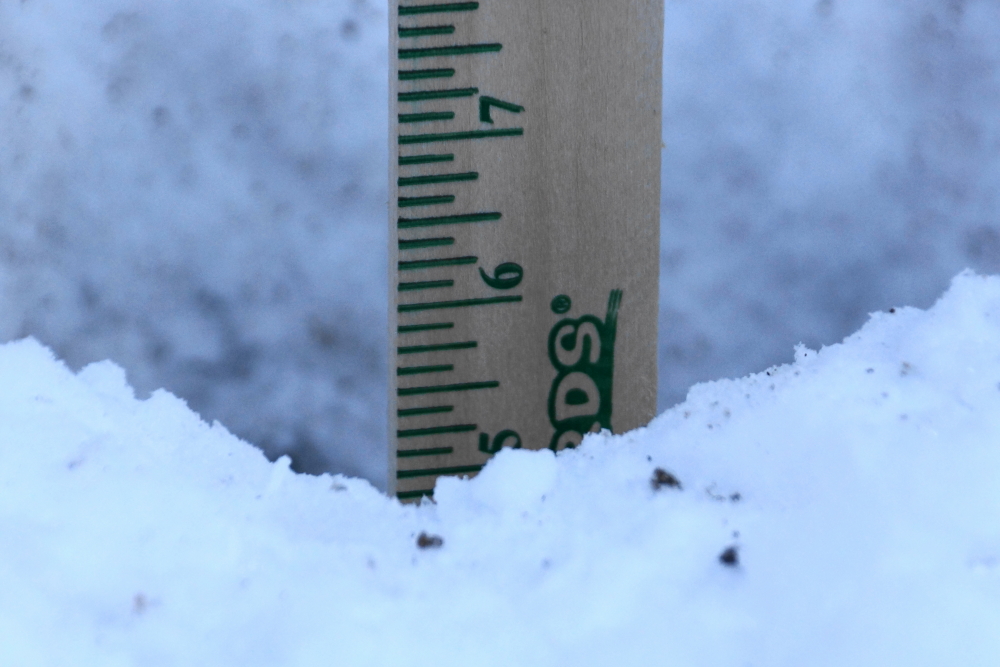 The after the plow guy cleared the lane, we carved a hole in the packed snow/ice layer of the road to see how thick it was.  We've got a hard, frozen layer of 5 to 6 inches of winter covering the plowed lane.