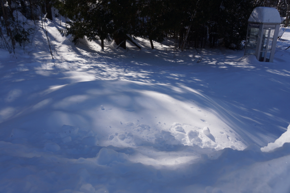 The best way to spot trailers is to use the Wait For Spring method.