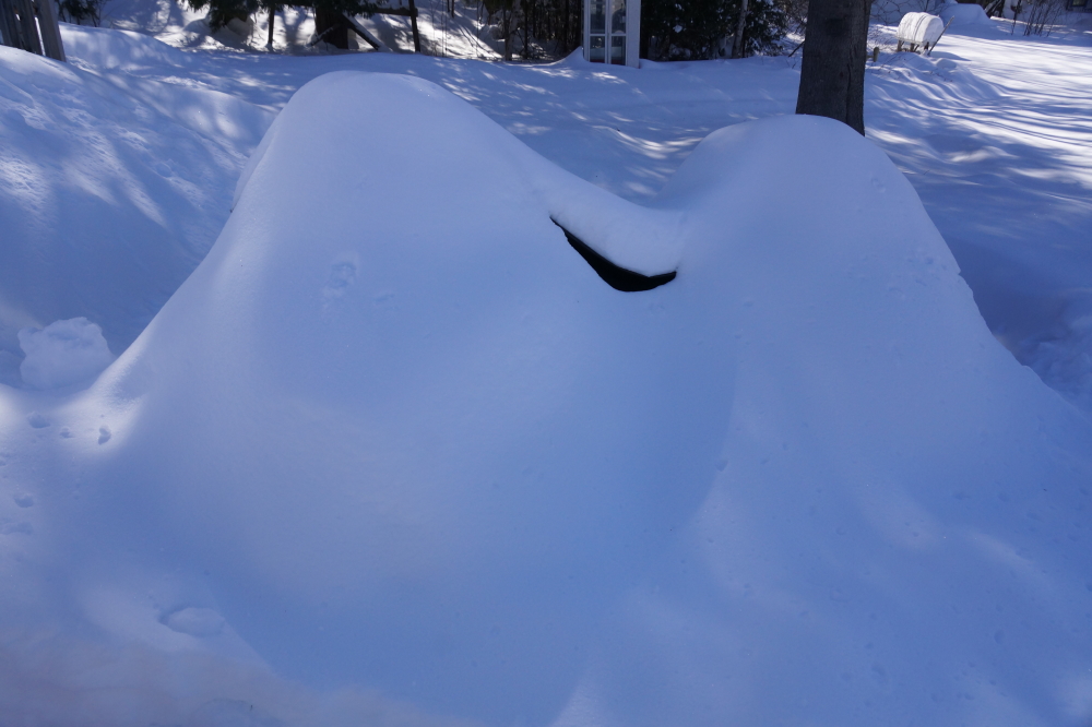 Snowmobiles can be really hard to identify especially if you don't remember where you parked them.