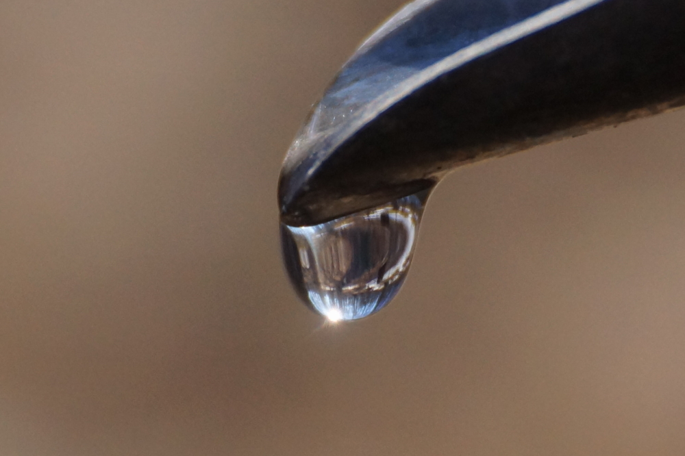 The sap run slowed and then stopped on Saturday.